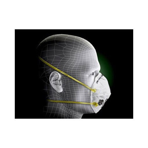 8210 N95 Particulate Respirator
