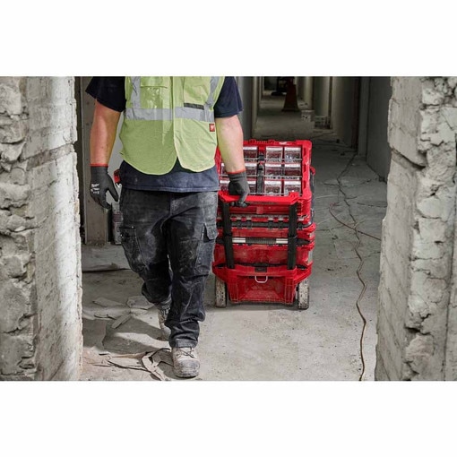 PACKOUT Tilt Bin Organizer