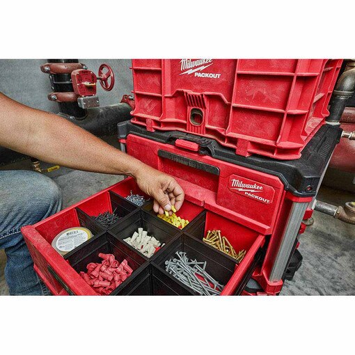 PACKOUT 2-Drawer Tool Box